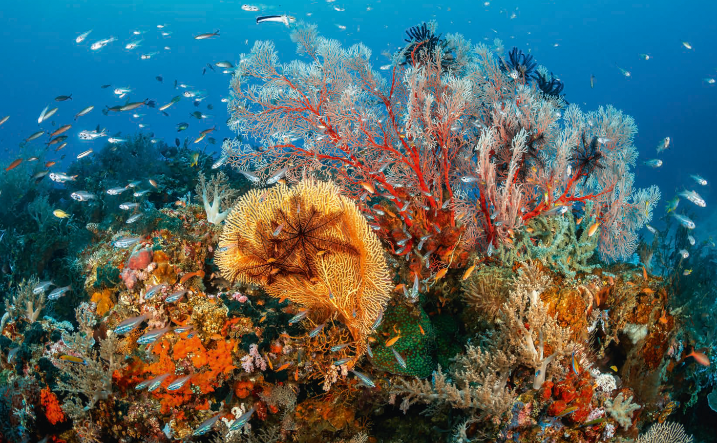 Below Surface - Kalender 2026 | Tobias Friedrich