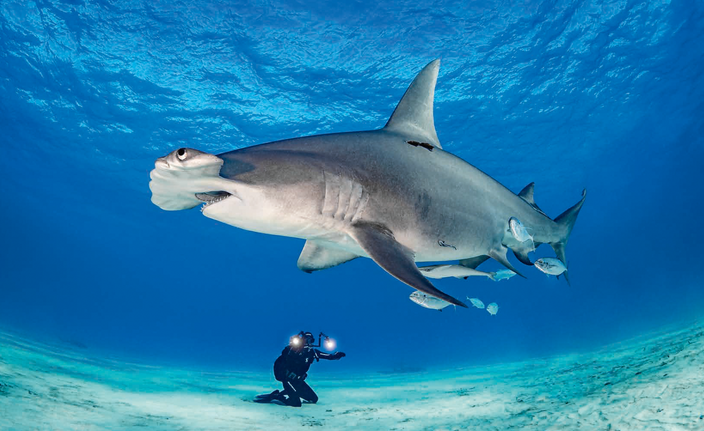 Below Surface - Kalender 2026 | Tobias Friedrich