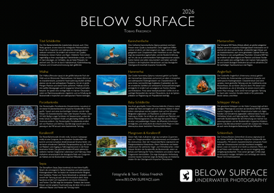 Below Surface - Kalender 2026 | Tobias Friedrich