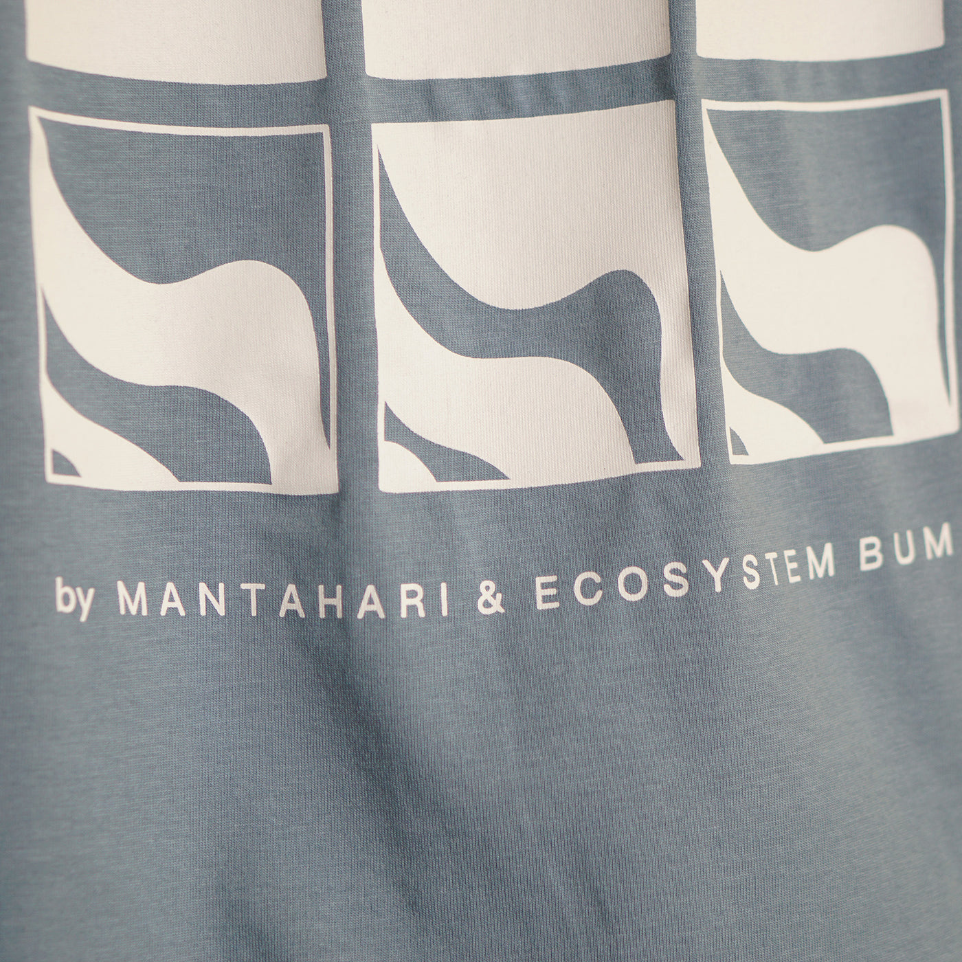 River Dolphin Shirt x Ecosystem Bumi