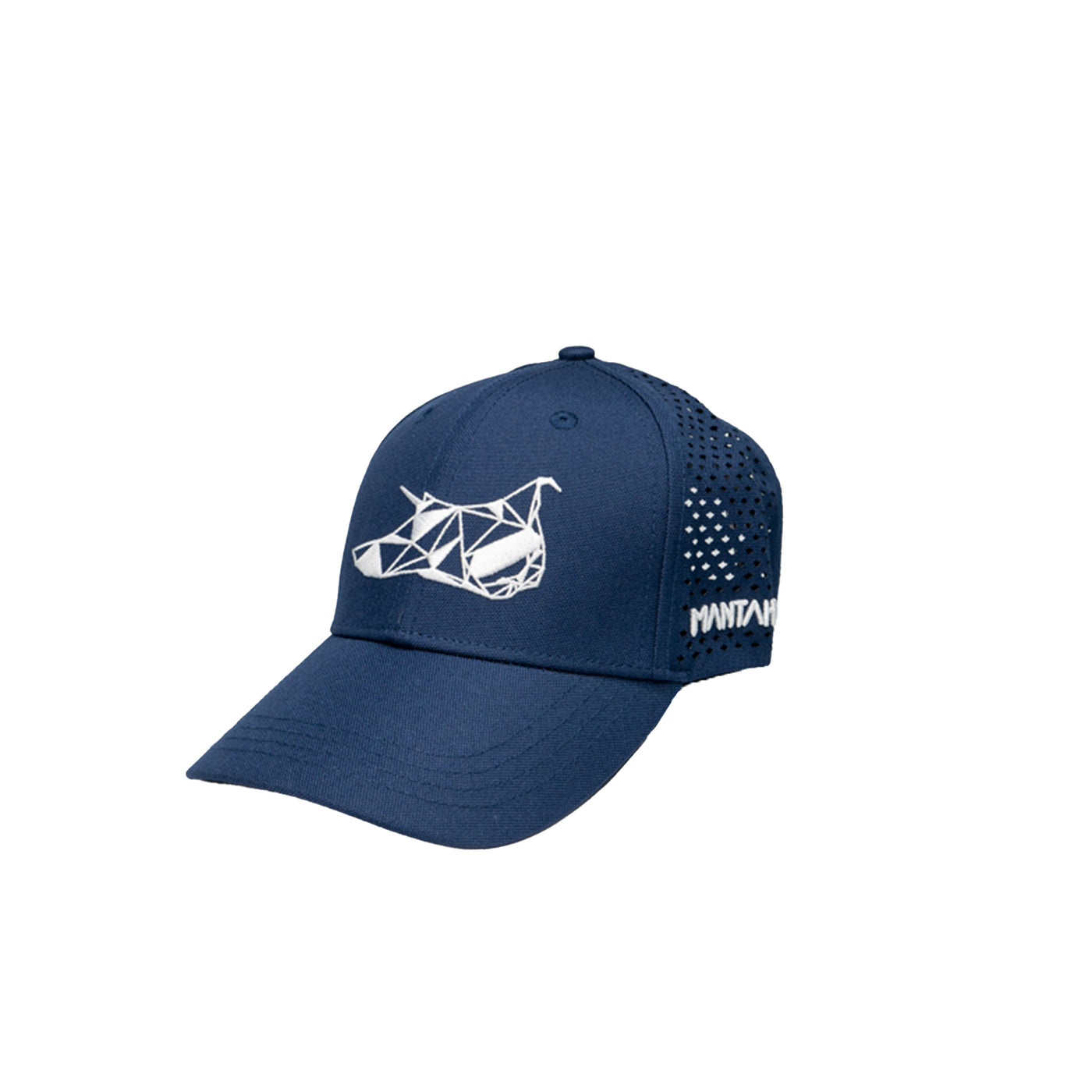 NEPTUN CURVED CAP